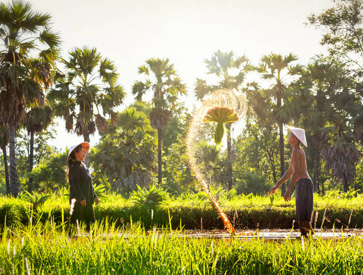 Lighting the way to a beautiful future with green