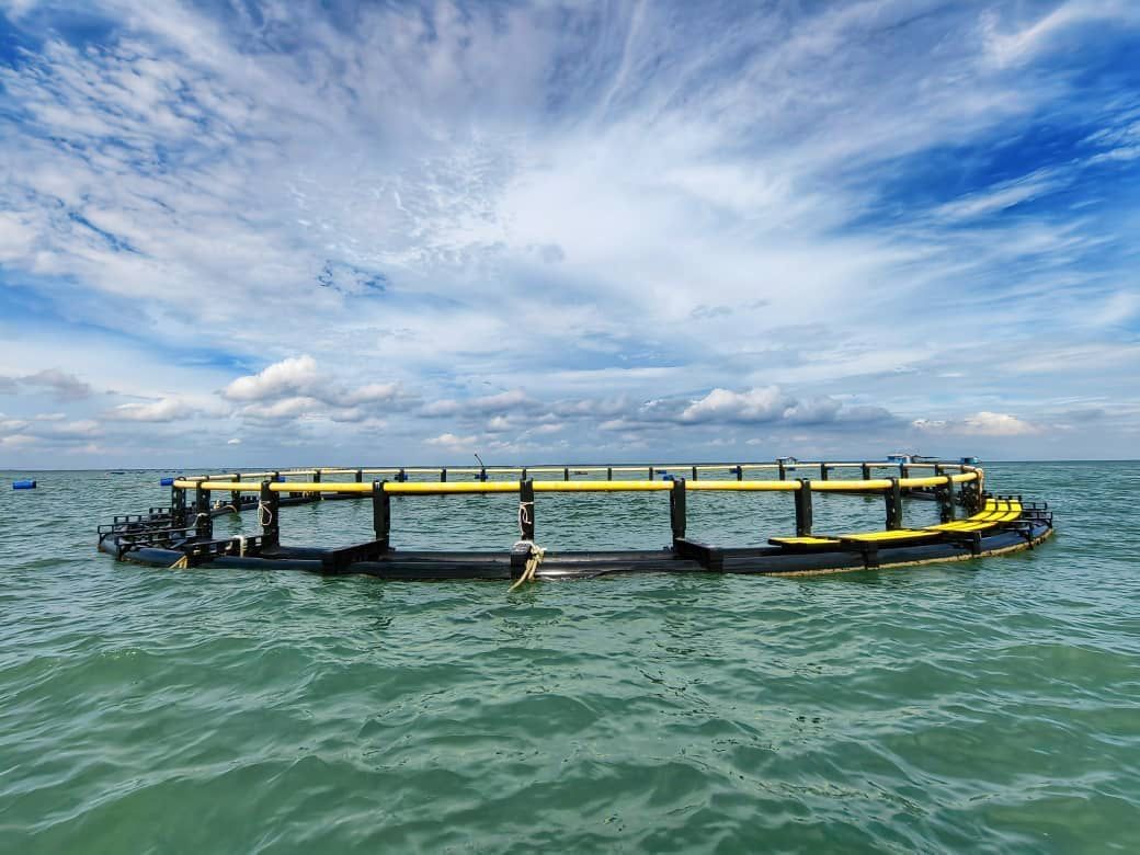 First batch of 8 sets x 19m diameter LESSO marine cage installed & deployed at Malaysia Coastal